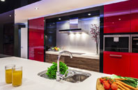 Great Lever kitchen extensions